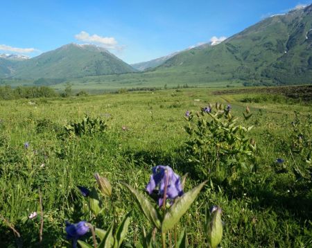 喀拉峻草原