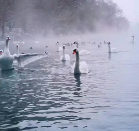 天鹅泉湿地公园